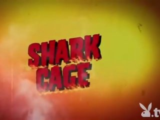 Badass 女孩 swam 同 shark 在 該 籠