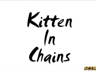 Kitten i chains