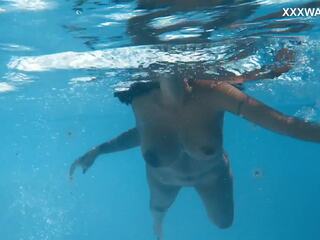 Venezuelan אֵלָה פלרטטנית מתחת למים showcase