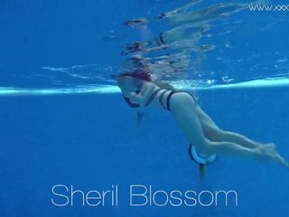 Sheril blossom i shkëlqyer ruse nënujë, pd i rritur film bd