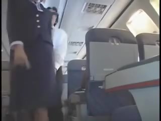 আমেরিকান stewardes কল্পনা