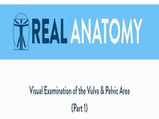 बस्टी ब्रुनेट क्लीप्स the anatomy की उसकी योनी