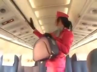 Pożądany stewardessa ssanie męskość przed nieprofesjonalny