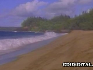 Kascha - pechugona bombón teniendo adulto vídeo en la playa