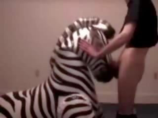 Zebra được họng fucked lược qua lạc đường gã vid